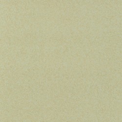 Covor pvc lentex PIONEER (2m) Covor pvc lentex PIONEER (2m)