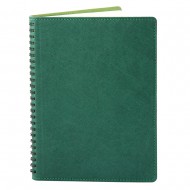 Agenda 360 piele verde