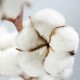 SANO MAXIMA PARFUMANT TESATURI COTTON 350ml