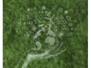 De ce să facem colectare selectivă în pubele speciale?