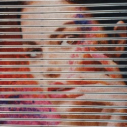 Covoras aluminiu AluLogoMat Mini, profil 17 mm, exterior/interior personalizat Covoras aluminiu AluLogoMat Mini, profil 17 mm, exterior/interior personalizat