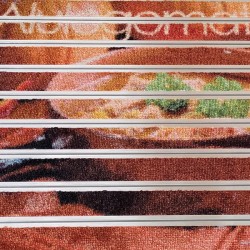 Covoras aluminiu AluLogoMat Compact, profil 10 mm, exterior/interior personalizat Covoras aluminiu AluLogoMat Compact, profil 10 mm, exterior/interior personalizat