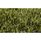 Gazon sintetic decorativ Botanic Gazon sintetic decorativ Botanic