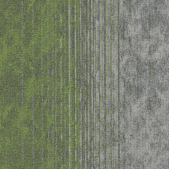 Mocheta dale verde Motion cod 669 Mocheta dale verde Motion cod 669