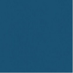 PVC sportiv Omnisports V120 albastru Night Blue