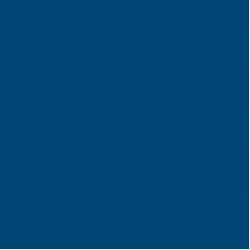 PVC sportiv Omnisports V120 albastru Royal Blue