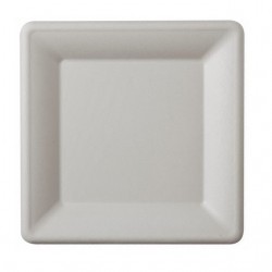 FARFURIE BIO PATRATA DIN TRESTIE DE ZAHAR 15 cm 50 buc/ set FARFURIE BIO PATRATA DIN TRESTIE DE ZAHAR 15 cm 50 buc/ set