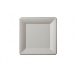 FARFURIE BIO PATRATA DIN TRESTIE DE ZAHAR 20 cm 50 buc/ set FARFURIE BIO PATRATA DIN TRESTIE DE ZAHAR 20 cm 50 buc/ set