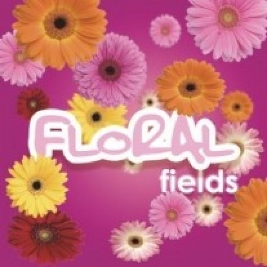 Floral Fields odorizant Hygiene Vision
