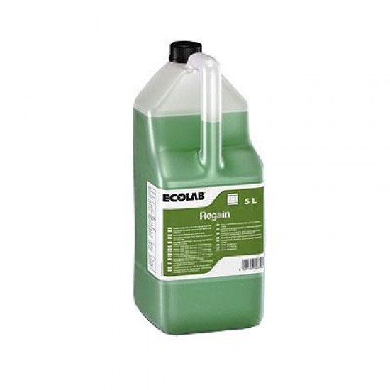 Degresant pentru echipamente si pardoseli REGAIN 5L Ecolab