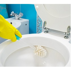 Detartrant parfumat 1L AQAS Detartrant parfumat 1L AQAS