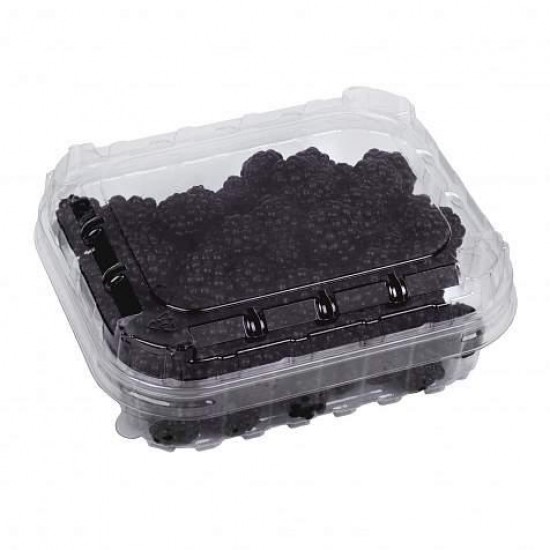 CASEROLE FRUCTE 250 GR FARA CAPAC - 143*120*40 mm - 1440 buc. CASEROLE FRUCTE 250 GR FARA CAPAC - 143*120*40 mm - 1440 buc.