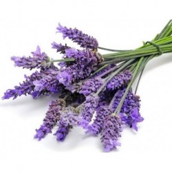 Lotiune de corp - Botanika Lavanda, 250 ml Lotiune de corp - Botanika Lavanda, 250 ml