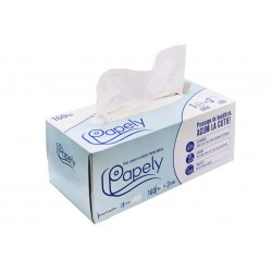 Prosoape hartie bucatarie 2 straturi, 160 bucati/cutie, Papely