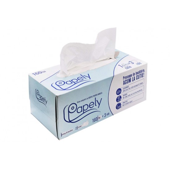 Prosoape hartie bucatarie 2 straturi, 160 bucati/cutie, Papely