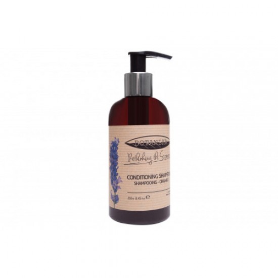 Sampon Si Balsam 250 Ml - Botanika Lavanda Sampon Si Balsam 250 Ml - Botanika Lavanda