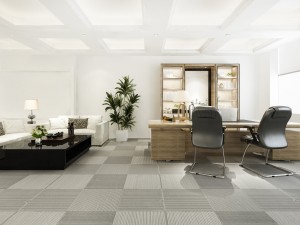 Covoarele Profesionale: Alegerea Ideala pentru Spații Curate și Elegante Covoarele Profesionale: Alegerea Ideala pentru Spații Curate și Elegante