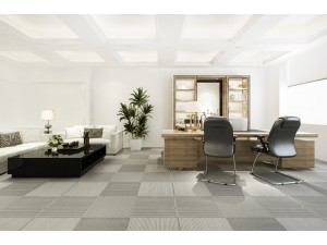 Covoarele Profesionale: Alegerea Ideala pentru Spații Curate și Elegante