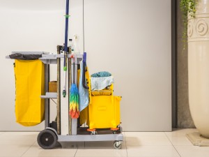 Pentru o bună curățenie și igienă, alege echipamente profesionale pentru spațiul tău de business! Pentru o bună curățenie și igienă, alege echipamente profesionale pentru spațiul tău de business!