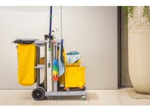 Pentru o bună curățenie și igienă, alege echipamente profesionale pentru spațiul tău de business!