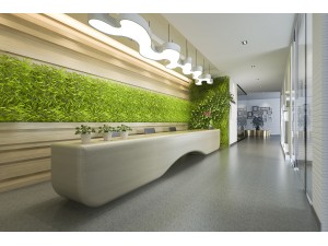 Dotează igienic intrările în spațiul tău de business, pentru o bună curățenie și siguranță!