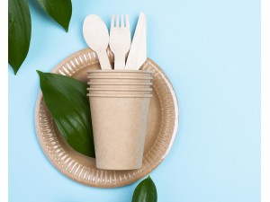 Tacâmuri și veselă de unică folosinţă pentru o igienă mai bună