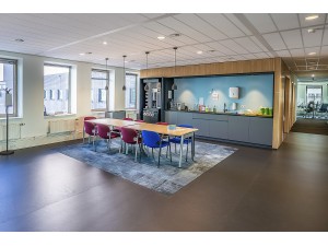 Covorașe profesionale igienice pentru curățenie și dezinfectare