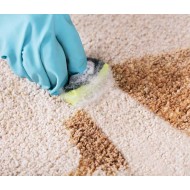 Sano Detergent spray igienizant pentru covoare si tapiterii, 600 ml