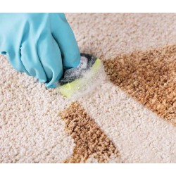 Sano Detergent spray igienizant pentru covoare si tapiterii, 600 ml