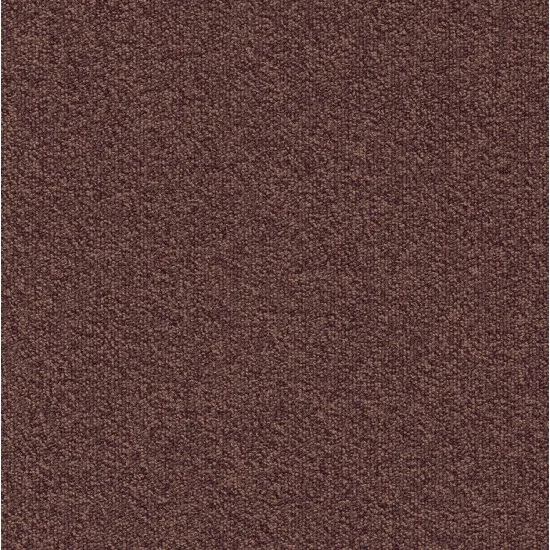 Mocheta Millennium Nxtgen, Modulyss