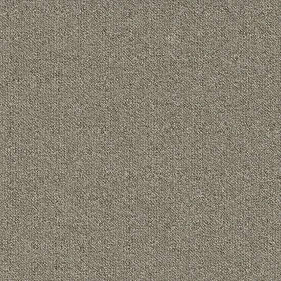 Mocheta Millennium Nxtgen, Modulyss