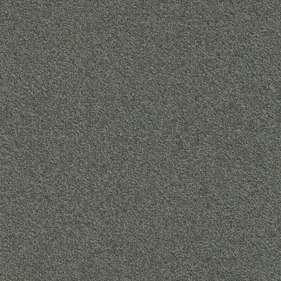 Mocheta Millennium Nxtgen, Modulyss