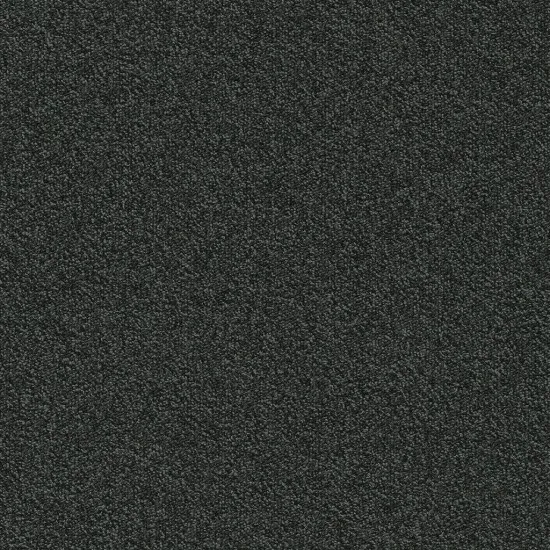 Mocheta Millennium Nxtgen, Modulyss