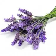 Lotiune de corp - Botanika Lavanda, 250 ml