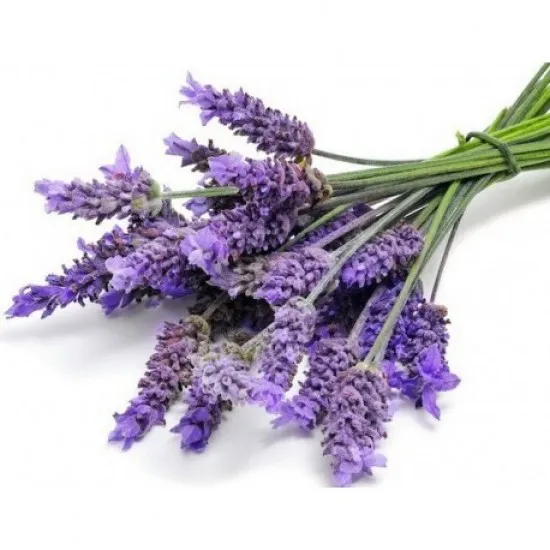 MIGEI Manual -detergent universal pentru pardoseala cu parfum de lavanda, Asevi, 5L MIGEI Manual -detergent universal pentru pardoseala cu parfum de lavanda, Asevi, 5L