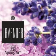 Rezerve odorizante SPRING AIR, 250 ml, 3000 pulverizari, arome la alegere Rezerve odorizante SPRING AIR, 250 ml, 3000 pulverizari, arome la alegere